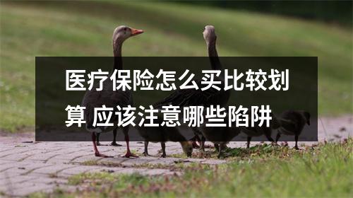 医疗保险怎么买比较划算 应该注意哪些陷阱