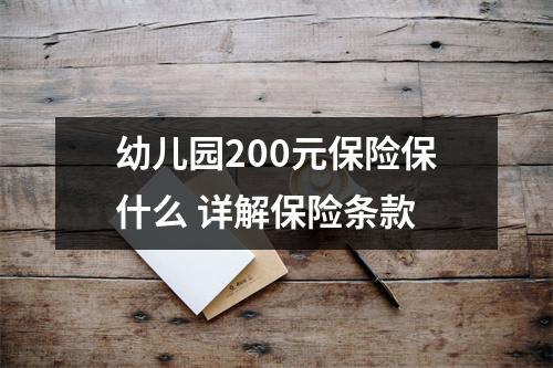 幼儿园200元保险保什么 详解保险条款
