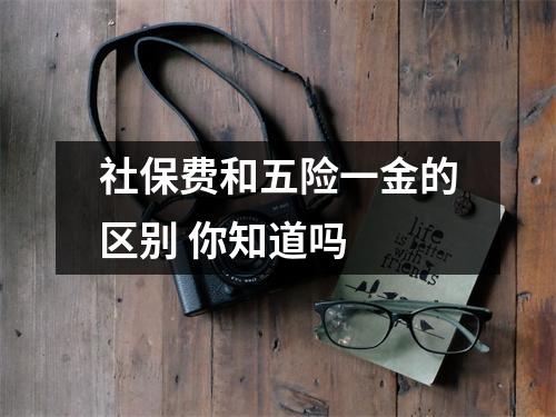 社保费和五险一金的区别 你知道吗 