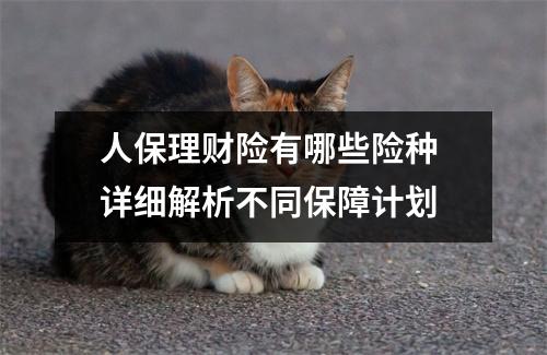 人保理财险有哪些险种 详细解析不同保障计划