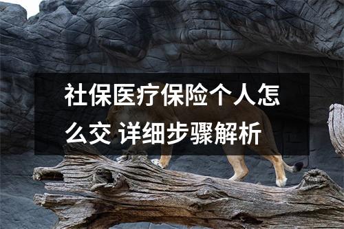 社保医疗保险个人怎么交 详细步骤解析