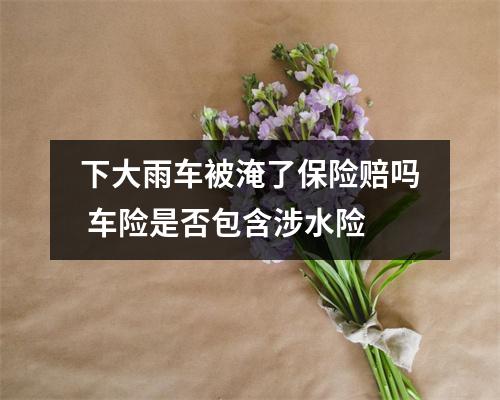 下大雨车被淹了保险赔吗 车险是否包含涉水险