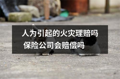 人为引起的火灾理赔吗 保险公司会赔偿吗 