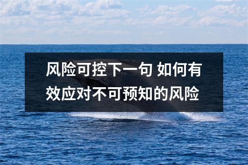 风险可控下一句 如何有效应对不可预知的风险