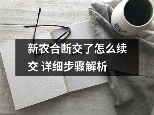 新农合断交了怎么续交 详细步骤解析
