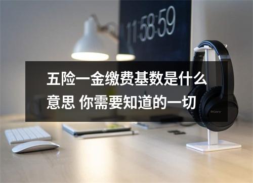 五险一金缴费基数是什么意思 你需要知道的一切