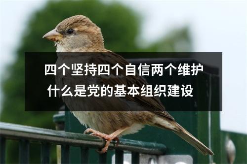 四个坚持四个自信两个维护 什么是党的基本组织建设
