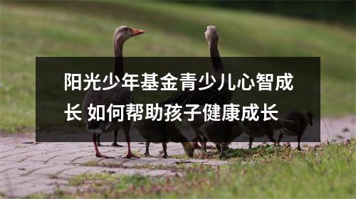 阳光少年基金青少儿心智成长 如何帮助孩子健康成长