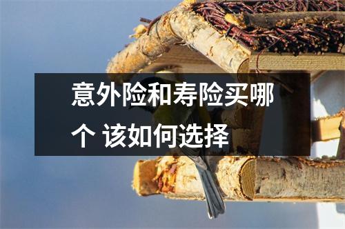 意外险和寿险买哪个 该如何选择