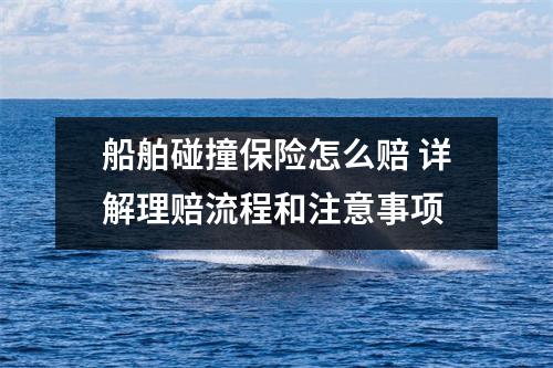 船舶碰撞保险怎么赔 详解理赔流程和注意事项