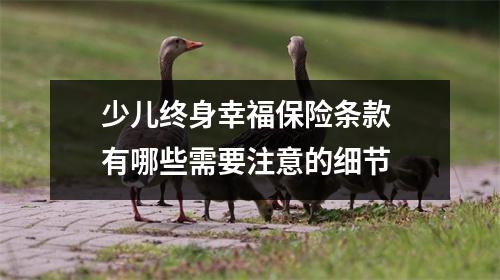 少儿终身幸福保险条款 有哪些需要注意的细节 