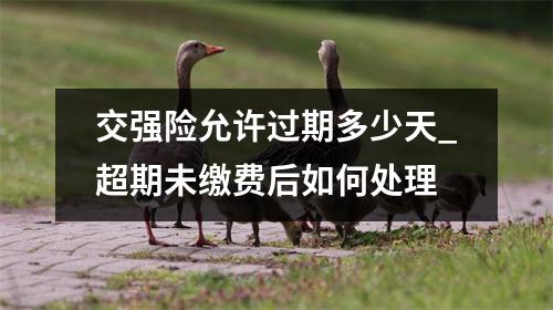 交强险允许过期多少天_超期未缴费后如何处理