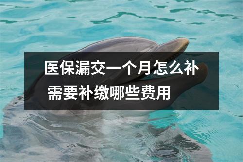 医保漏交一个月怎么补 需要补缴哪些费用 