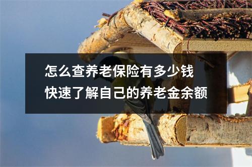 怎么查养老保险有多少钱 快速了解自己的养老金余额