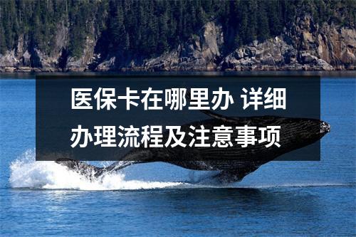 医保卡在哪里办 详细办理流程及注意事项