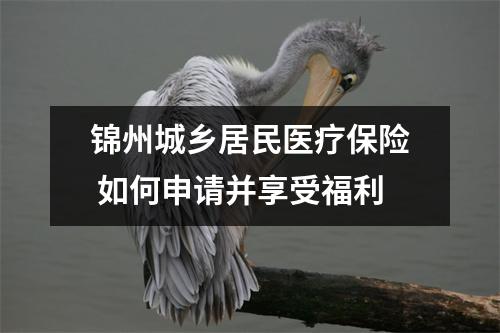 锦州城乡居民医疗保险 如何申请并享受福利