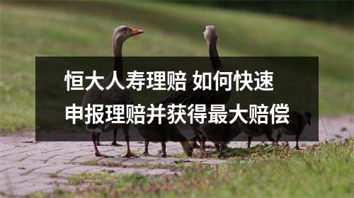 恒大人寿理赔 如何快速申报理赔并获得最大赔偿