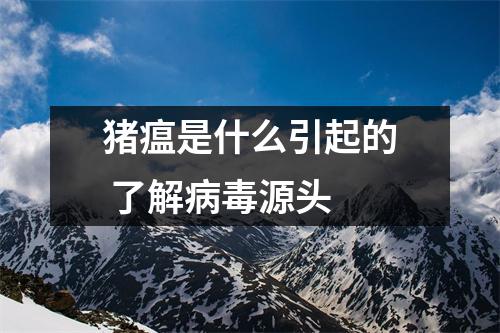 猪瘟是什么引起的 了解病毒源头