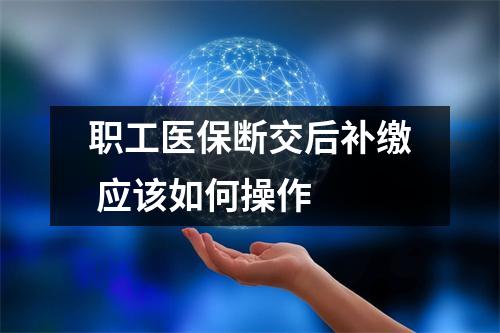职工医保断交后补缴 应该如何操作 