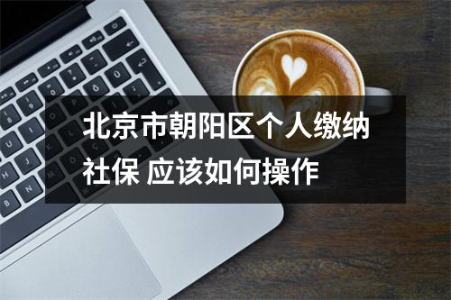 北京市朝阳区个人缴纳社保 应该如何操作 