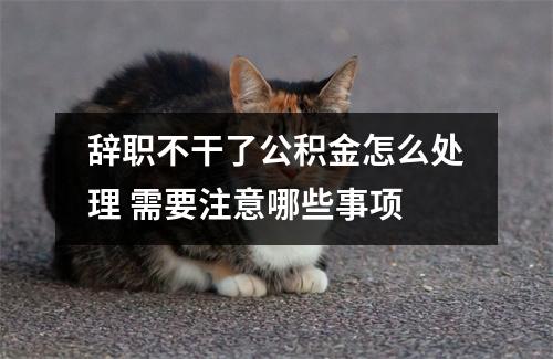辞职不干了公积金怎么处理 需要注意哪些事项