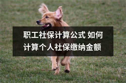 职工社保计算公式 如何计算个人社保缴纳金额