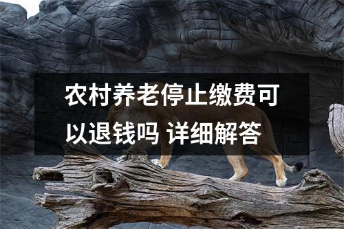 农村养老停止缴费可以退钱吗 详细解答