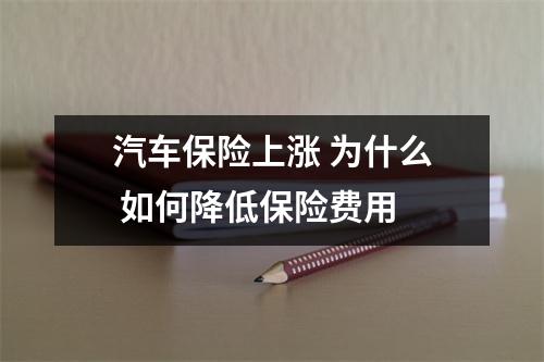 汽车保险上涨 为什么 如何降低保险费用 