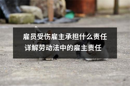 雇员受伤雇主承担什么责任 详解劳动法中的雇主责任