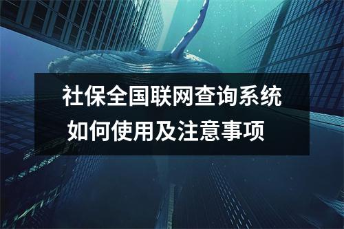 社保全国联网查询系统 如何使用及注意事项