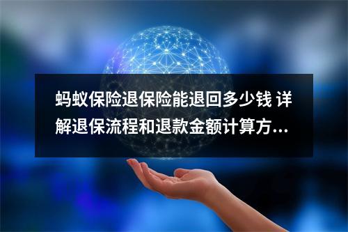 蚂蚁保险退保险能退回多少钱 详解退保流程和退款金额计算方法