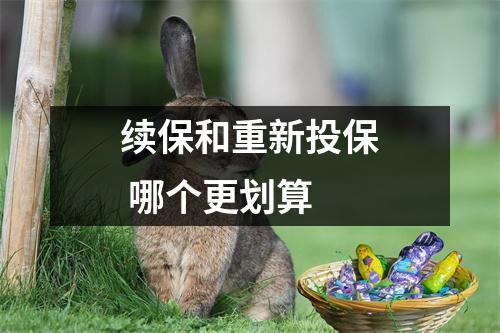 续保和重新投保 哪个更划算 