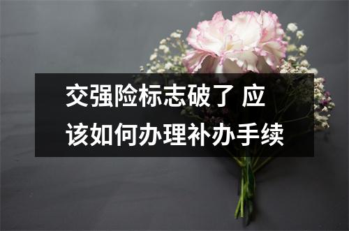 交强险标志破了 应该如何办理补办手续