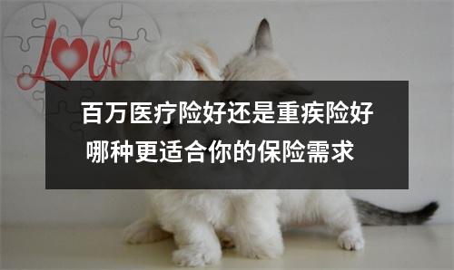 百万医疗险好还是重疾险好 哪种更适合你的保险需求
