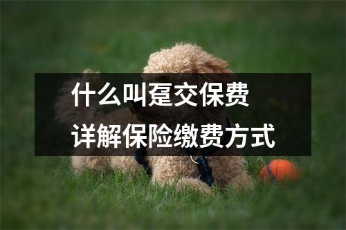 什么叫趸交保费 详解保险缴费方式