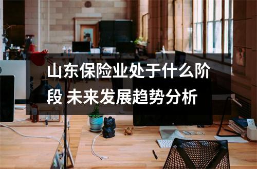 山东保险业处于什么阶段 未来发展趋势分析