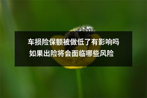 车损险保额被做低了有影响吗 如果出险将会面临哪些风险