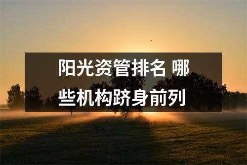阳光资管排名 哪些机构跻身前列