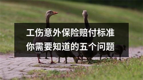 工伤意外保险赔付标准 你需要知道的五个问题