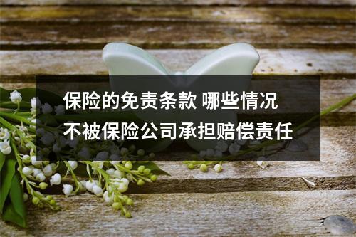 保险的免责条款 哪些情况不被保险公司承担赔偿责任