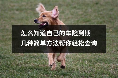怎么知道自己的车险到期 几种简单方法帮你轻松查询