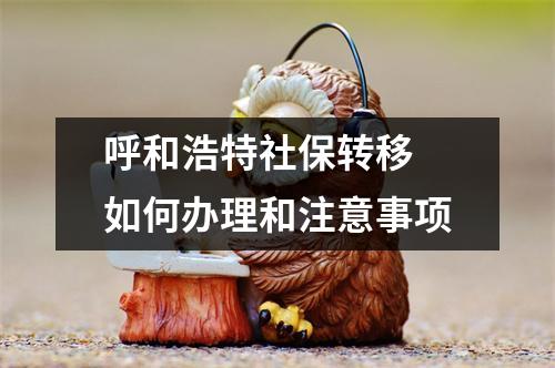 呼和浩特社保转移 如何办理和注意事项