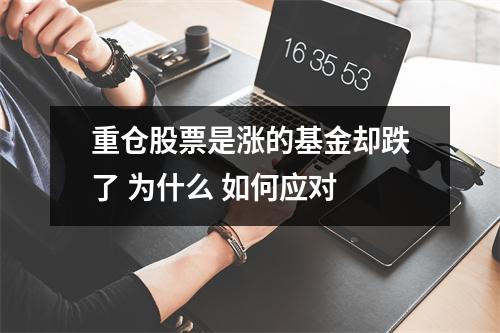 重仓股票是涨的基金却跌了 为什么 如何应对 