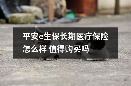 平安e生保长期医疗保险怎么样 值得购买吗 