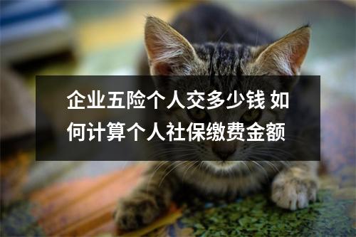 企业五险个人交多少钱 如何计算个人社保缴费金额
