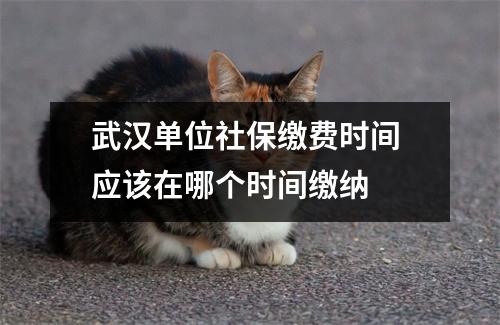 武汉单位社保缴费时间 应该在哪个时间缴纳 