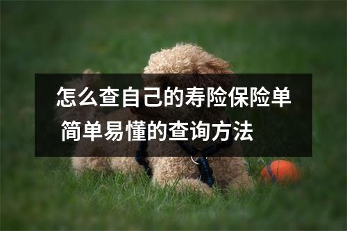 怎么查自己的寿险保险单 简单易懂的查询方法