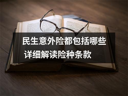 民生意外险都包括哪些 详细解读险种条款