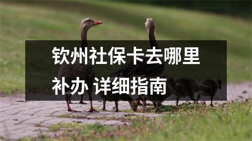 钦州社保卡去哪里补办 详细指南