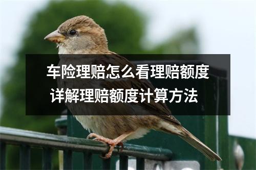车险理赔怎么看理赔额度 详解理赔额度计算方法